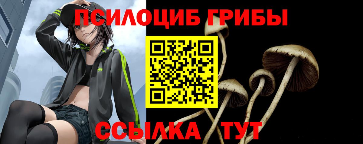 Ревда  закладка  Вход с VPN  Галлюциногенные грибы мухоморы 
